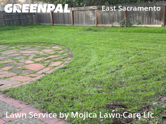 Landscaping Services In Sacramento,95816,Landscaping Cleanup by Mojica Lawn Care Llc, work completed in Jan , 2026