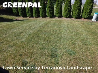 Yard Care in Lisle, 60532, Weed Trimming by Terranova Landscape, work completed in Nov , 2025