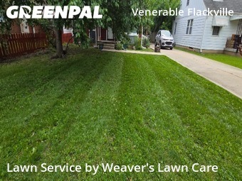 Lawn Service nearby Indianapolis, IN, 