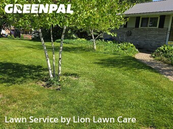 Grass Cut nearby Springfield, OH, 