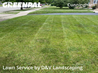 Yard Cutting nearby Joliet, IL, 