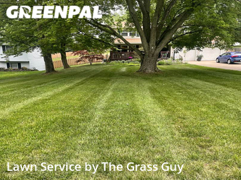 Grass Cut nearby Medina, OH, 