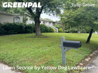 Lawn Mow nearby Nashville, TN, 