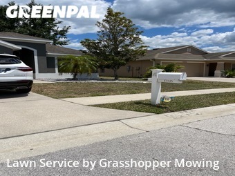 Yard Cutting nearby Hudson, FL, 