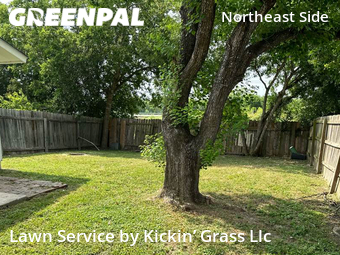 Lawn Cutting nearby San Antonio, TX, 