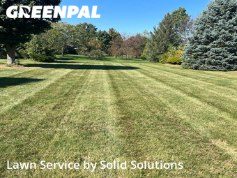 Turf Services in Kokomo, 46902, Yard Services by Solid Solutions , work completed in Oct , 2025