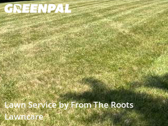 Lawn Mow nearby Wheaton, IL, 