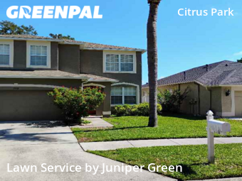 Lawn Mowing nearby Tampa, FL, 