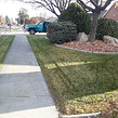 lawn-care-services-in-Layton-UT