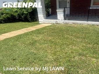 Lawn Mow nearby St. Louis, MO, 