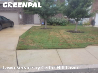 Lawn Cut nearby San Antonio, TX, 