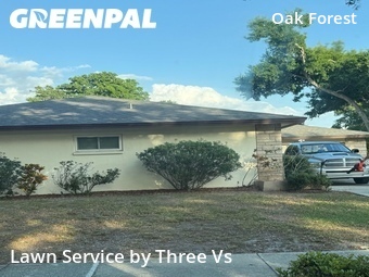 Lawn Maintenance nearby Clearwater, FL, 