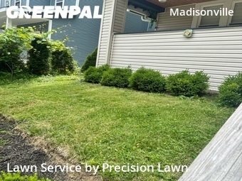 Grass Cutting nearby Cincinnati, OH, 