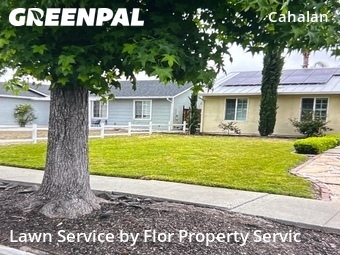 Lawn Cutting nearby San Jose, CA, 