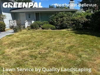 Lawn Maintenance nearby Bellevue, WA, 