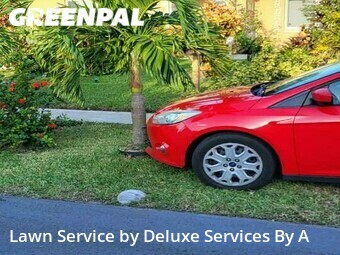 Lawn Management in Lauderdale Lakes, 33311, Mowing Services by Deluxe Services By A, work completed in Oct , 2025