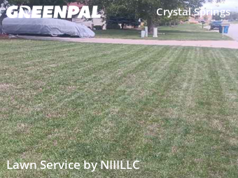 Lawn Cut nearby Grand Rapids, MI, 