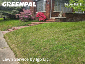 Yard Cutting nearby Evansville, IN, 