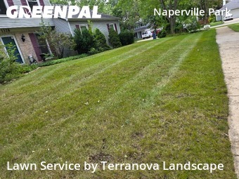 Lawn Mowing Service nearby Naperville, IL, 
