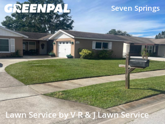 Grass Cut nearby New Port Richey, FL, 