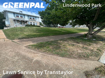 Yard Cutting nearby St. Louis, MO, 