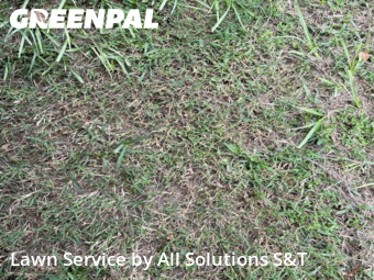 Yard Cutting nearby Winter Haven, FL, 