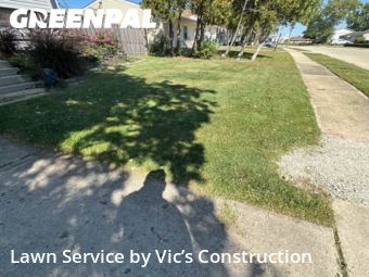 Yard Management in Romeoville, 60446, Weed Trimming by Vic’s Construction , work completed in Nov , 2025