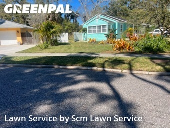 Lawn Cut nearby Dunedin, FL, 