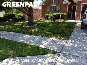 Lawn Mowing nearby Fort Worth, TX, 