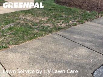 Yard Cutting nearby Vienna, VA, 