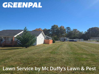 Lawn Mowing Service nearby Baneberry, TN, 