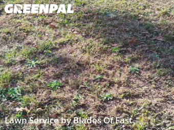 Lawn Care nearby East Point, GA, 