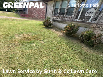Lawn Cutting nearby Nashville, GA, 