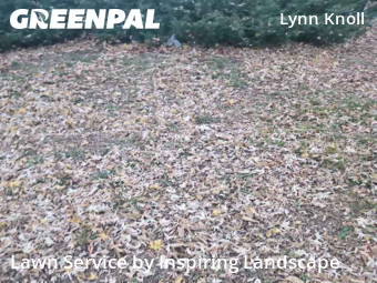 Lawn Maintenancein Aurora,80011,Grass Cutting by Inspiring Landscape, work completed in Dec , 2025