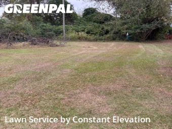 Lawn Mowing Service nearby La Grange, NC, 