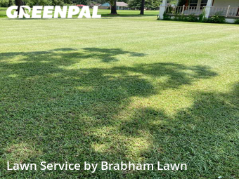 Yard Mowing nearby Gonzales, LA, 