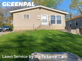 Grass Cutting nearby Breckenridge Hills, MO, 