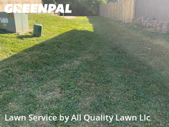 Grass Cutting nearby St. Peters, MO, 