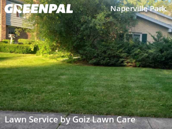 Lawn Mow nearby Naperville, IL, 