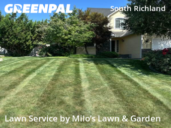 Work completed by the-yard-cutting-businesses-in-Richland-CA