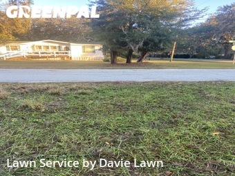 Lawn Cut nearby Lady Lake, FL, 