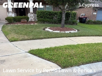 Lawn Care Service nearby Harris County, TX, 