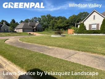 Grass Cutting nearby Memphis, TN, 