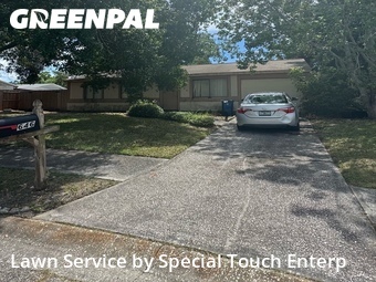 Grass Cut nearby Oldsmar, FL, 