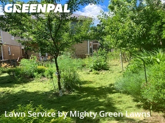 Lawn mowed in Bellevue, 15202