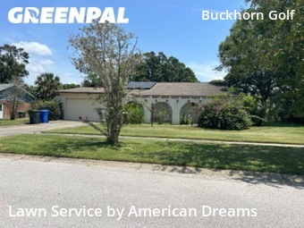 Lawn Maintenance nearby Valrico, FL, 