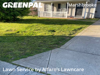 Lawn Care nearby Matthews, NC, 