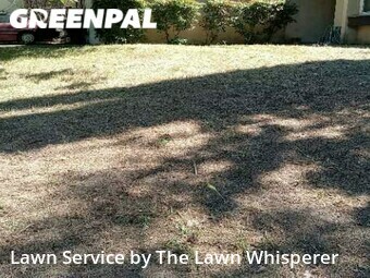 Grass Cutting nearby Sacramento, CA, 