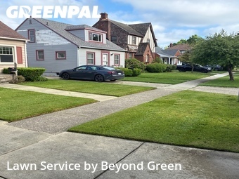 Lawn Care Service nearby Taylor, MI, 