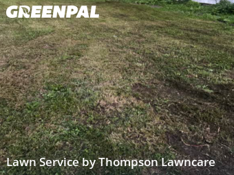 Weekly Mowing in Freeport, 61032, Yard Care by Thompson Lawncare, work completed in Nov , 2025
